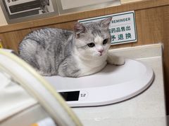 -瑞派宠物医院·24h·骨外科·皮肤科·全科宠物医疗转诊中心(沈阳浑南院)