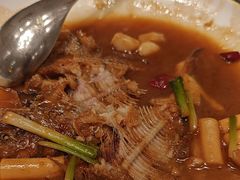 -新吉士·上海菜(浦东LCM置汇旭辉店)