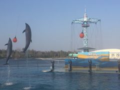 -秦皇岛乐岛海洋王国