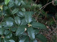 -宁波市保国寺古建筑博物馆
