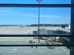 -虹桥机场国航贵宾室v8