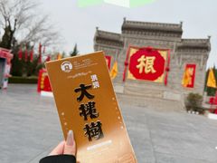 -大槐树寻根祭祖园