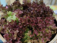 -老友巷·中式烤肉(北滘店)