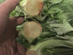 -海吉星国际农产品物流管理有限公司