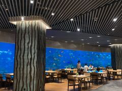 -海棠湾洲际-涛·海底餐厅·美人鱼·自助餐·海底隧道