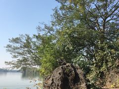 -扬美古镇景区
