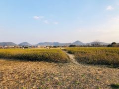 -良渚古城遗址公园