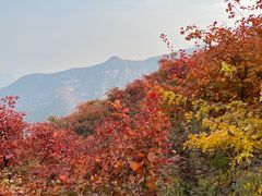 -周口店坡峰岭风景区