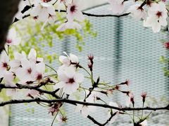 -龙美术馆(西岸馆)