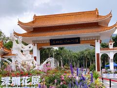 -深圳仙湖植物园