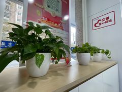 -交通银行(上海莘庄支行)