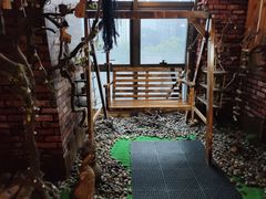 -MAX伯爵趣味互动密室逃脱(大坪D馆店)