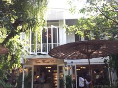 -Fern Forest Cafe