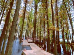 -东湖落雁景区