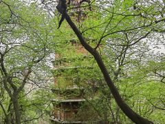 -宝通禅寺