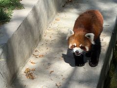 -水上乐园·欢乐世界