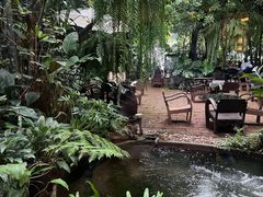 -Fern Forest Cafe