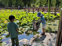 -丰台科技园生态主题公园