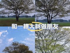 -汉长安城未央宫国家考古遗址公园