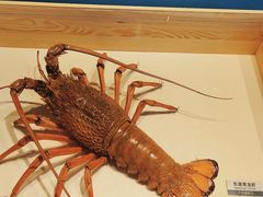 -浙江自然博物院(杭州馆)