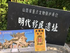 -大槐树寻根祭祖园