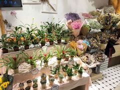 -The Green Party(嘉里中心店)
