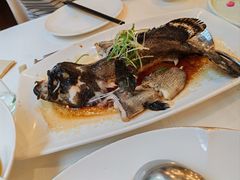 -顺峰(阜成店)