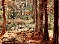 -南京市无想山景区