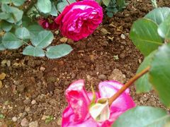 -人民公园(罗湖区)