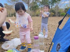 -聚龙山公园