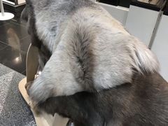 -赫尔辛基－万塔机场