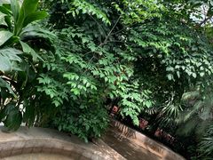 -南宫温泉水世界