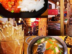 -新凯里酸汤鱼(飞山街店)