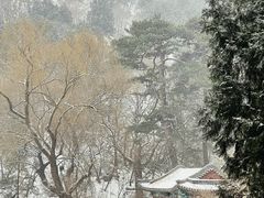 -香山公园