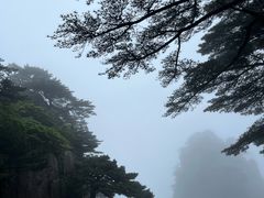 -黄山风景区