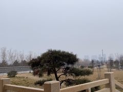 -咸阳湖景区