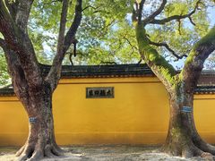 -西园戒幢律寺