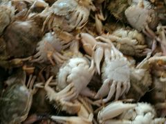 -春华海鲜城(广场西苑店)