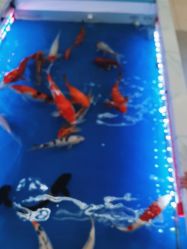 -孩子王童乐园(资阳万达店)