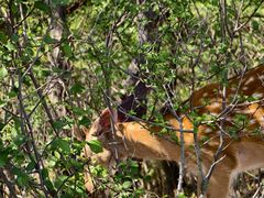 -大连冰峪旅游度假区