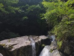 -牛背梁国家森林公园