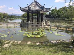 -江心屿景区