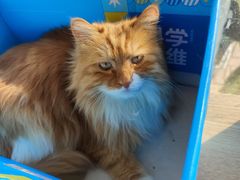 -平行世界·猫咖(首经贸店)