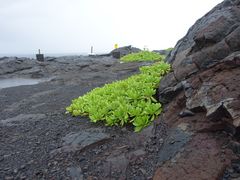 -夏威夷火山国家公园