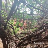 这家餐厅整体非常推荐超级赞