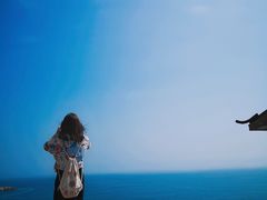 -广东惠东海龟国家级自然保护区
