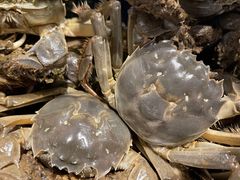 河蟹-钱库里海鲜自助(星海广场店)
