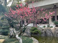 -南山植物园