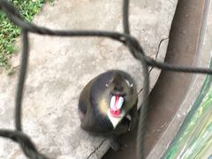 -西安秦岭野生动物园