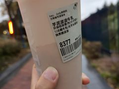-喜茶(迪士尼小镇DP店)